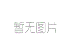 共聚網(wǎng)信力量，共繪灣區(qū)藍(lán)圖